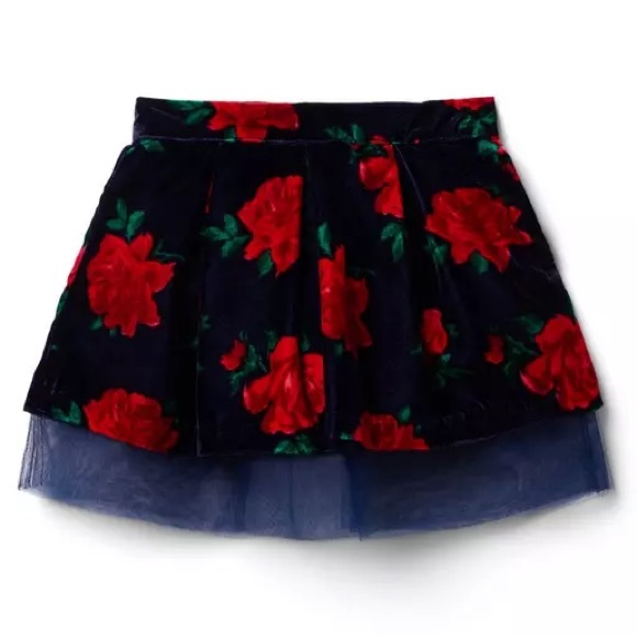 Janie and Jack Other - NWT Janie and Jack Rose Velvet Tulle Skirt | 2T